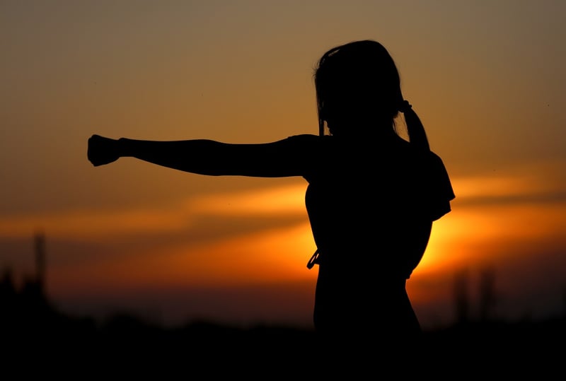 Yang Style Tai Chi
